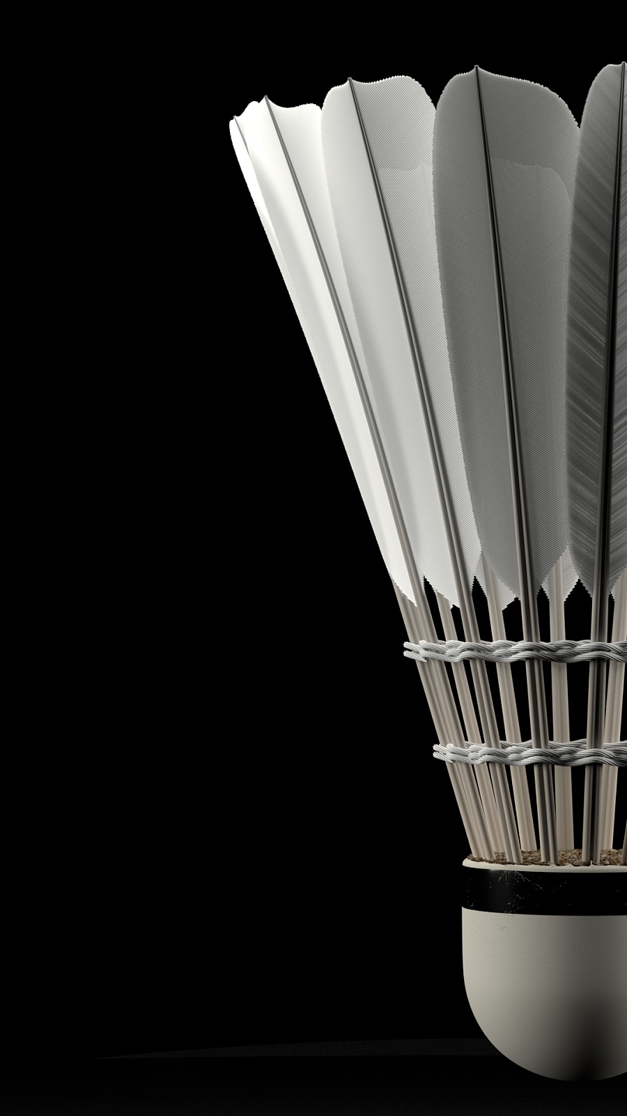 身加盟摩纳 身加盟摩纳